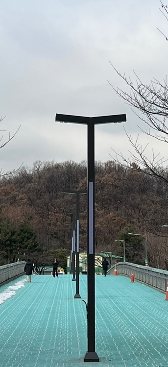경기도 성남 . 황새울보도교 